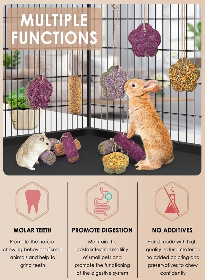 Bissap 12PCS Rabbit Chew Sticks, Hanging Chew Sticks & Cakes Timothy Hay Carrot Strawberry Treat for Bunny Chinchilla Guinea Pig Hamster and Other Small Pets Molar Snack Toy - Image 3